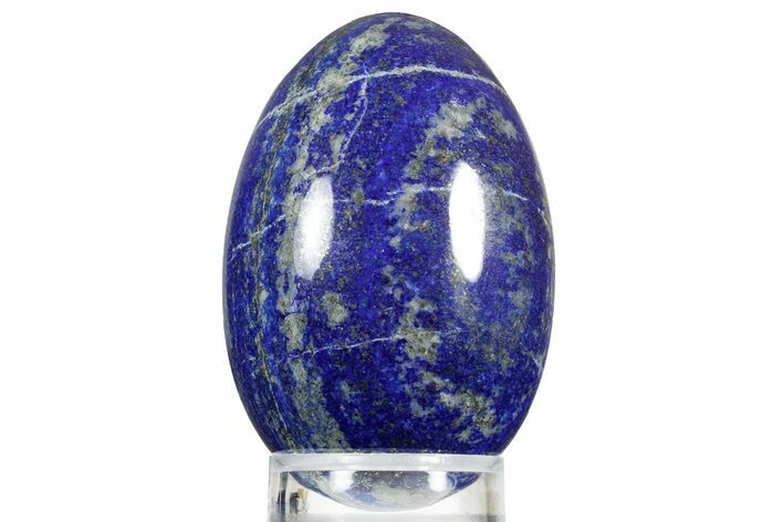 Polished Lapis Lazuli Egg - Pakistan #352515